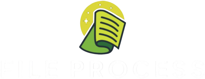 File Process